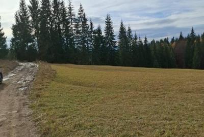 Teren vanzare intro o zona linistita. - 3