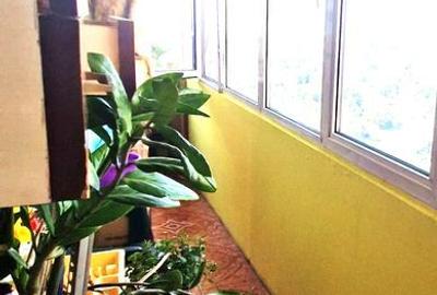 Apartament cu 4 camere decomandat în Militari - 7