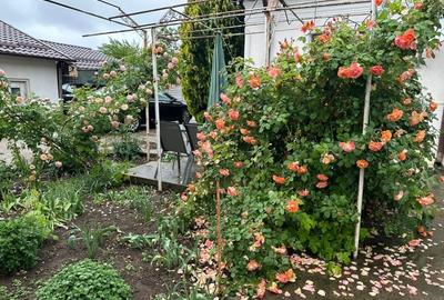 Casă individuală cu 6 camere cu Teren 4265 Mp în Izbiceni - 5