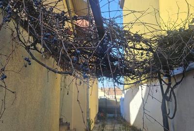 Casă cu 6 camere cu Teren 500 Mp în Central