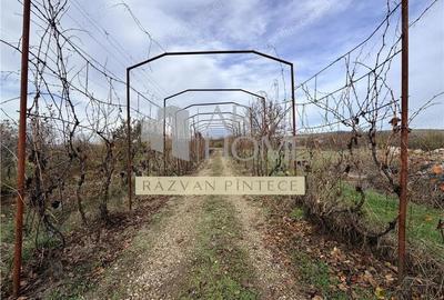 Pensiune 6 camere, teren 12713 mp, Dealul Mare, Urlati, Prahova - 11