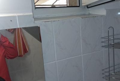 Berceni, Alexandru Obregia - 5