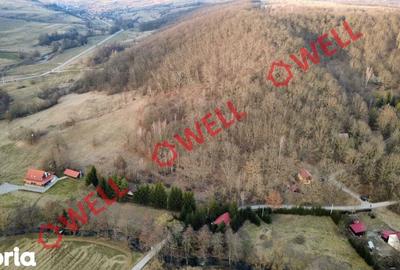 Teren de 16800 mp, în Bățani - 1