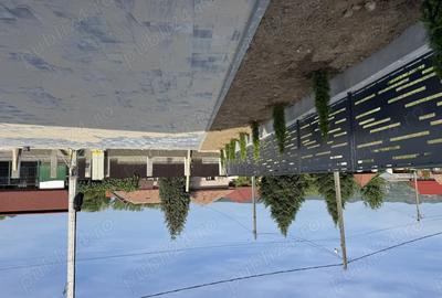 Case Insiruite Strada Lespezi Rm Valcea - 7