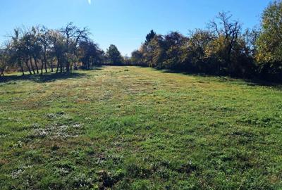 TEREN INTRAVILAN ȘI EXTRAVILAN POLOVRAGI-RACOVIȚA - 1