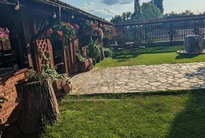 RESTAURANT DE VÂNZARE-COM. OBREJA\SAT IAZ\CARAȘ SEVERIN - 6