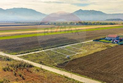 Teren de 650 mp, în Nord - 1