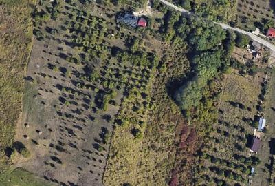 Teren Construcții intravilan de 16630 mp, în Dealuri Oradea - 1