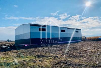 Spațiu industrial, de 528 mp, în Vest - 14