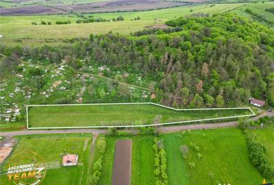 Teren de 6500 mp, în Păpăuți - 1