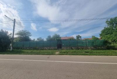 Casă cu 3 camere cu Teren 2000 Mp în Central - 3
