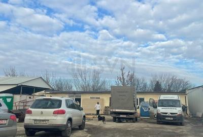 Teren Construcții intravilan de 5350 mp, în Chitila - 6