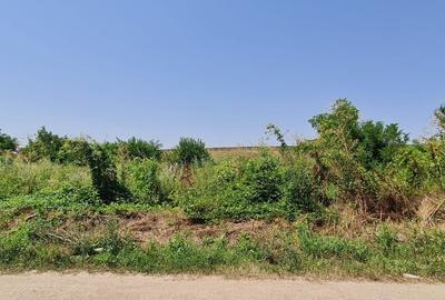 Teren Construcții intravilan de 924 mp, în Dridu - 4