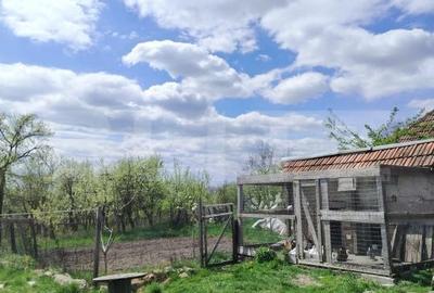 Casă cu 2 camere cu Teren 3800 Mp în Aiton - 6