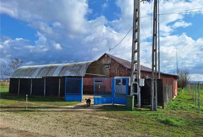 Reco, Casa si Hala industriala Sabolciu