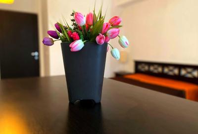 Apartament cu 2 camere decomandat în Nicolina - 1