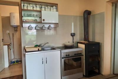 Comuna Augustin, casa deosebita, renovata integral, mobilata si utilata full!!! - 17