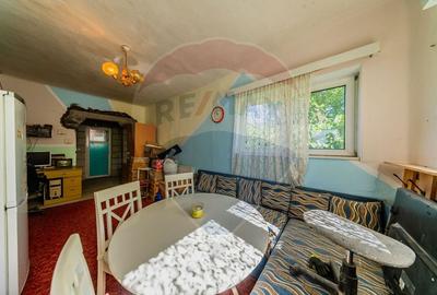 Casa + teren 2880 mp de vanzare in Tipar,Sintea Mare - 8