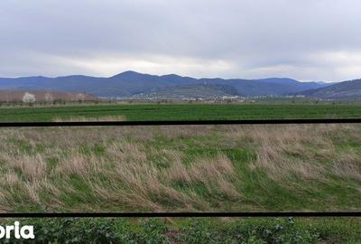 Teren de 500 mp, în Central - 1