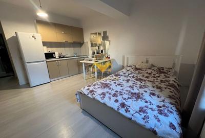 1 camera, bloc nou, Zorilor, zona UMF, Hasdeu, Piezisa, Pet Friendly - 12