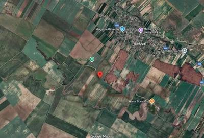 Teren extravilan Barlogu; ID: R2825534 - 2