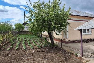 Casă individuală cu 6 camere cu Teren 1175 Mp în Islaz - 1