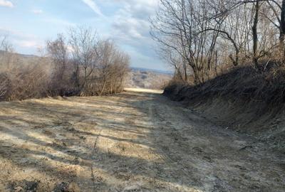 Teren de 2500 mp, în Căzănești (Ghioroiu)