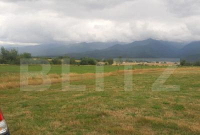 Teren de 8600 mp, în Cârțișoara