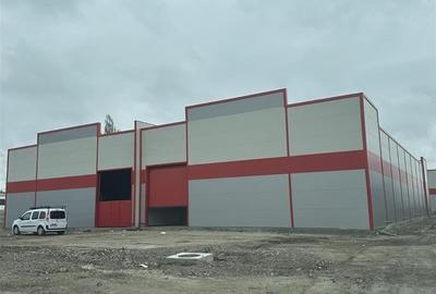Inchiriere depozit/hala/spatiu industrial/parc logistic Jilava - Giurgiului - 6