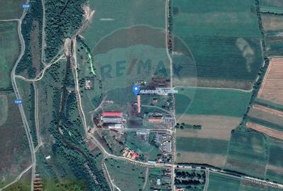 Teren intravilan si grajd | 1.333mp | Sercaia - 2
