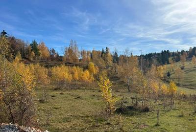 Teren in Cala?ele Padure 4488mp - 3