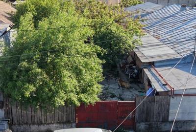 Casă cu 3 camere cu Teren 203 Mp în Central