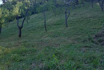 Spațiu comercial, în Salva - 6