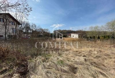 Teren autorizabil Făget - 4