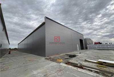 Depozit/hala/spatiu industrial Chiajna - Chitila - Rudeni - 3