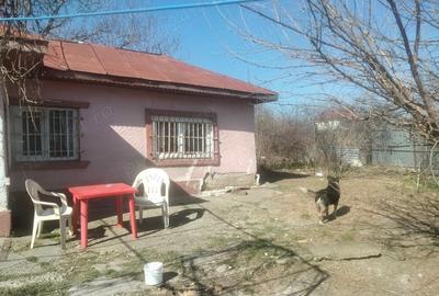 Casă cu 3 camere în Ilfoveni - 2