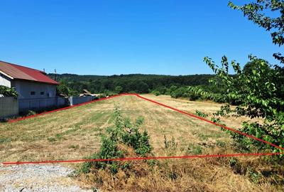 TEREN INTRAVILAN ȘI EXTRAVILAN TURCINEȘTI - 2