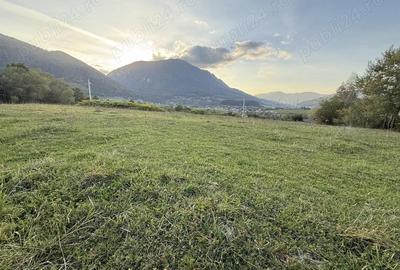 Teren intravilan 500 sau 1000 mp Bran-Tohanita la dum asfaltat - 9