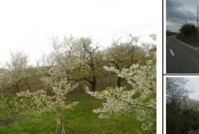 Teren extravilan livada cota parte 1/2 Candesti ID: R1965236 - 1