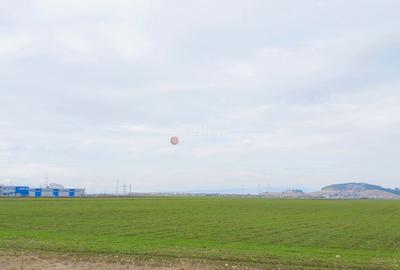 Teren Construcții extravilan de 16875 mp, în Hărman - 2