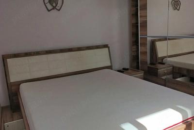 Casă cu 3 camere cu Teren 687 Mp în Teiu - 8