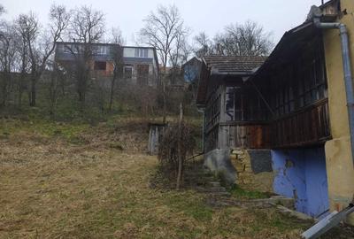 Spațiu comercial, în Sic - 2