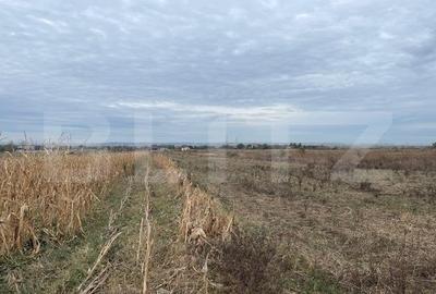 Teren Construcții extravilan de 2539 mp, în Exterior Nord - 2