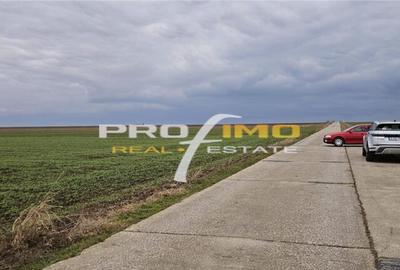 Teren de 4200 mp, în Corbu - 8