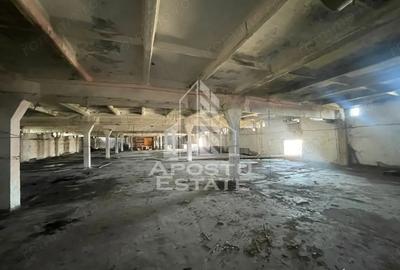 Spațiu comercial, de 3,185 mp, în Dumbrăvița - 1