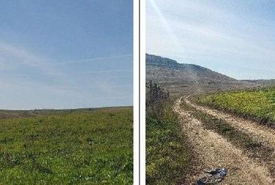 Teren de 10000 mp, în Mineri