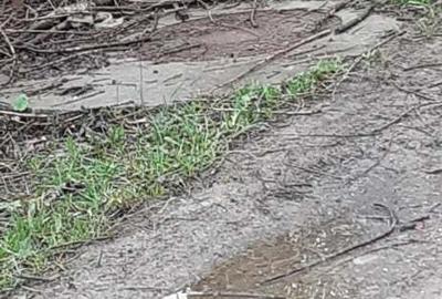Teren de 600 mp, în Ghioșești - 4