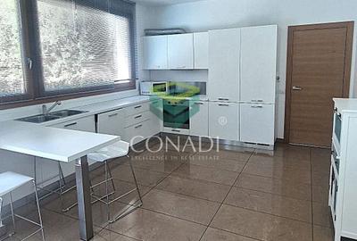 Iancu Nicolae, vila de inchiriat, 5 camere - 5