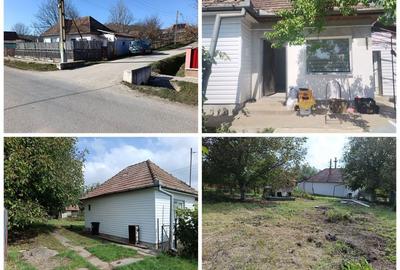 Casă cu 2 camere în Central - 3