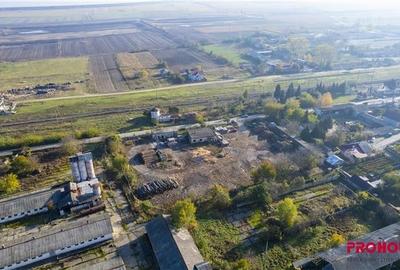 Racaciuni - teren intravilan 6.886mp - hale in suprafata de 265mp Racaciuni - teren intravilan 6.886mp - hale in suprafata de 265mp - 5